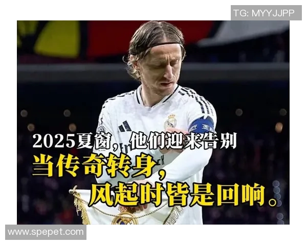 感人至深的足球明星退役瞬间回顾与他们的传奇故事