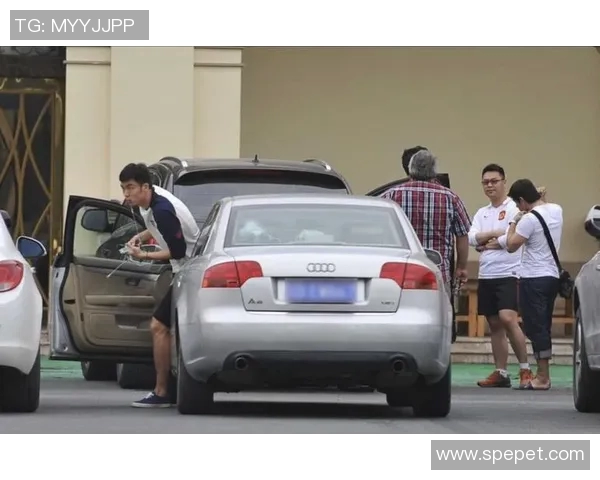 中国体育明星座驾排行榜揭晓豪车与运动精神的完美结合