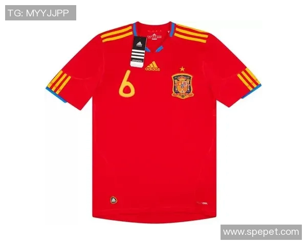 足球场上的传奇六号球衣背后的明星故事揭秘 足球场上的传奇六号球衣背后的明星故事揭秘