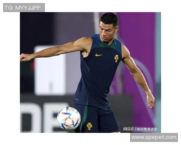 现代足球明星全景解析与成就回顾汇总