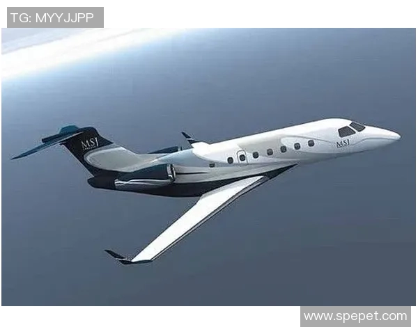 足球巨星的奢华天空之旅十大私人飞机揭秘与背后故事 足球巨星的奢华天空之旅十大私人飞机揭秘与背后故事