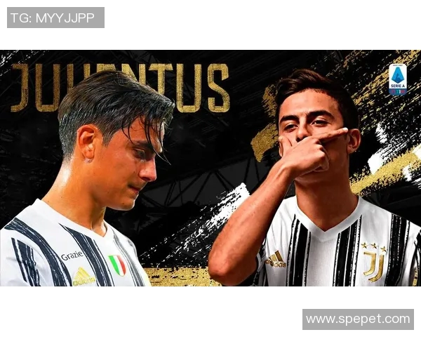 烟酒迷途足球明星的沉沦与重生之路