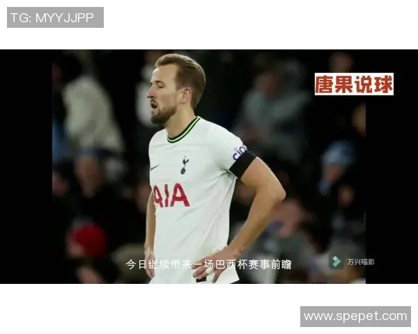 弗拉门戈与巴拉纳的激烈对决揭示足球战术与团队精神的完美结合