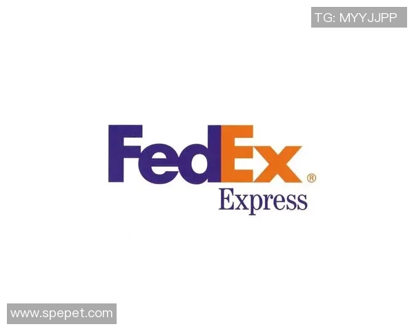 全面解析体育用品品牌标志设计及其背后的故事与含义