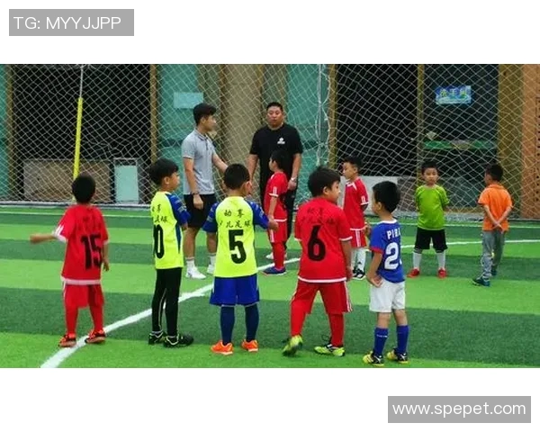 打造少儿体育培训知名品牌的成功之路与发展策略探讨