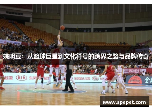 姚明豆：从篮球巨星到文化符号的跨界之路与品牌传奇