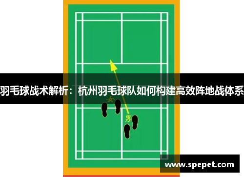 羽毛球战术解析：杭州羽毛球队如何构建高效阵地战体系