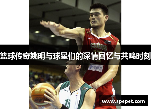 篮球传奇姚明与球星们的深情回忆与共鸣时刻