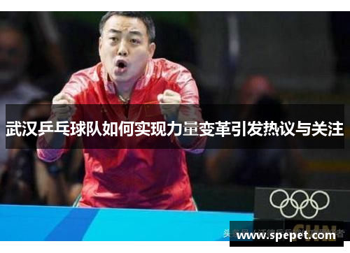 武汉乒乓球队如何实现力量变革引发热议与关注