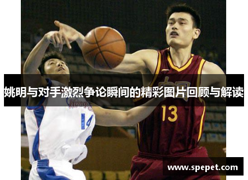 姚明与对手激烈争论瞬间的精彩图片回顾与解读