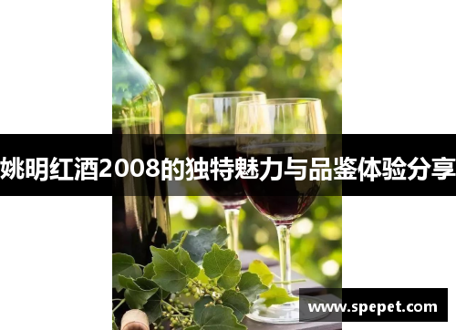 姚明红酒2008的独特魅力与品鉴体验分享